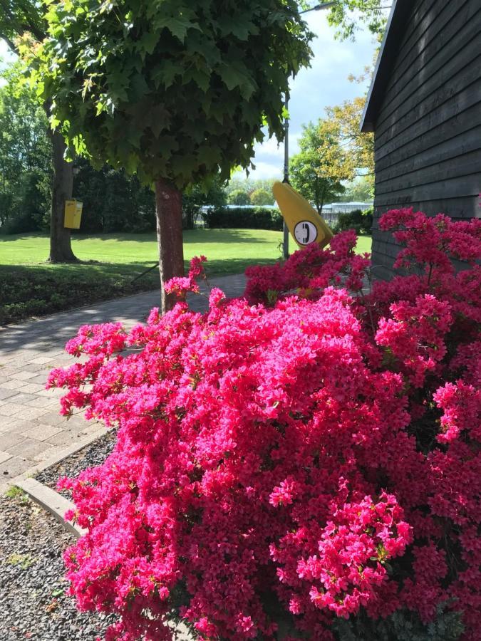B&B De Prinsenhof Gassel ภายนอก รูปภาพ
