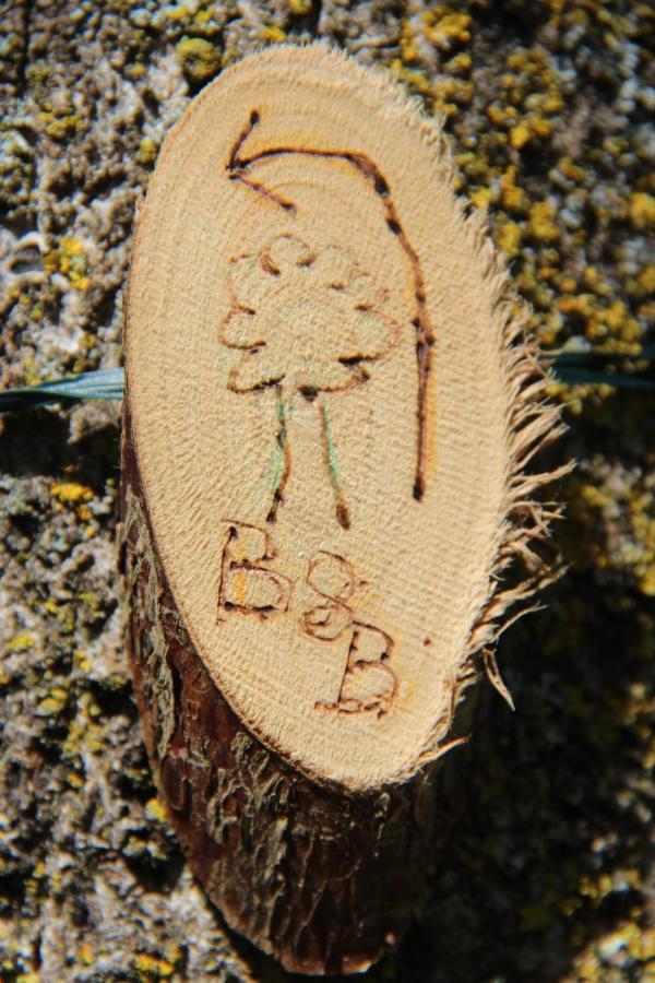 B&B De Prinsenhof Gassel ภายนอก รูปภาพ